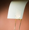 6_Lampadaire_cerf_volant_de_Pierre_Guariche.jpg