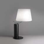 Rare lamp model 10723 by Michel Boyer